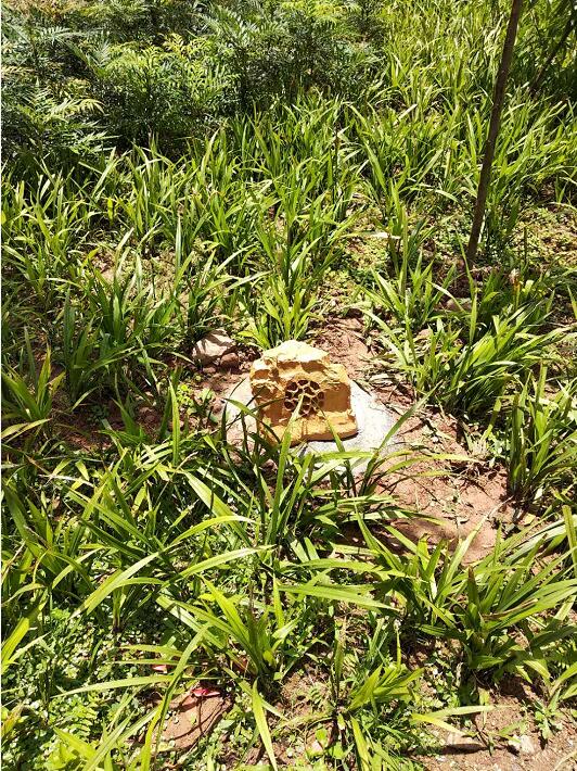 四川巴中文景園小區(qū)草坪公共廣播系統(tǒng) 四川巴中文景園小區(qū)草坪公共廣播系統(tǒng)